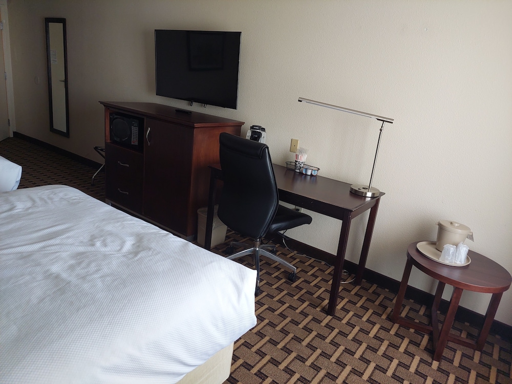 Savai Hotel - photo 5