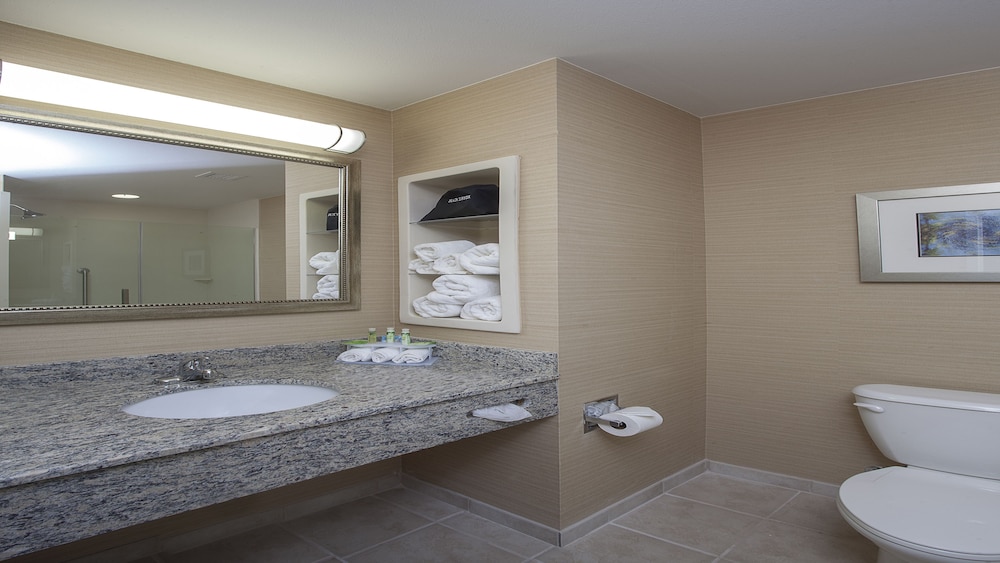 Holiday Inn Express Hotel & Suites Morgan City Tiger Island by IHG - photo 13