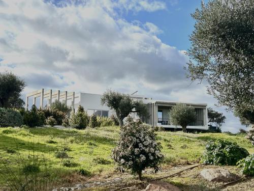 Herdade Vale Castelo in Reguengos De Monsaraz, Portugal