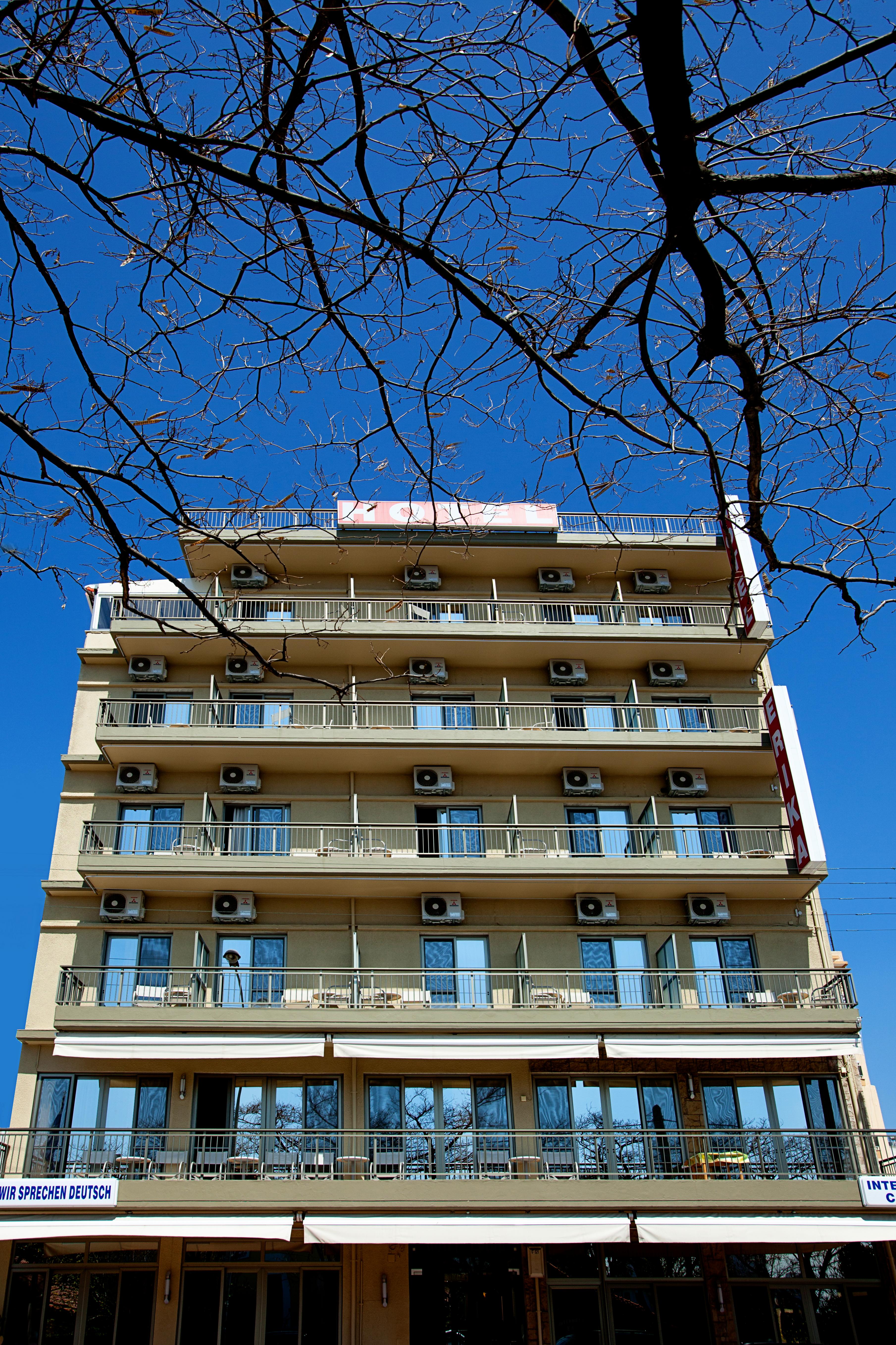 Hotel Erika — Alexandroupoli — photo 2