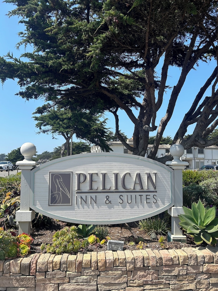 Pelican Inn & Suites - photo 27
