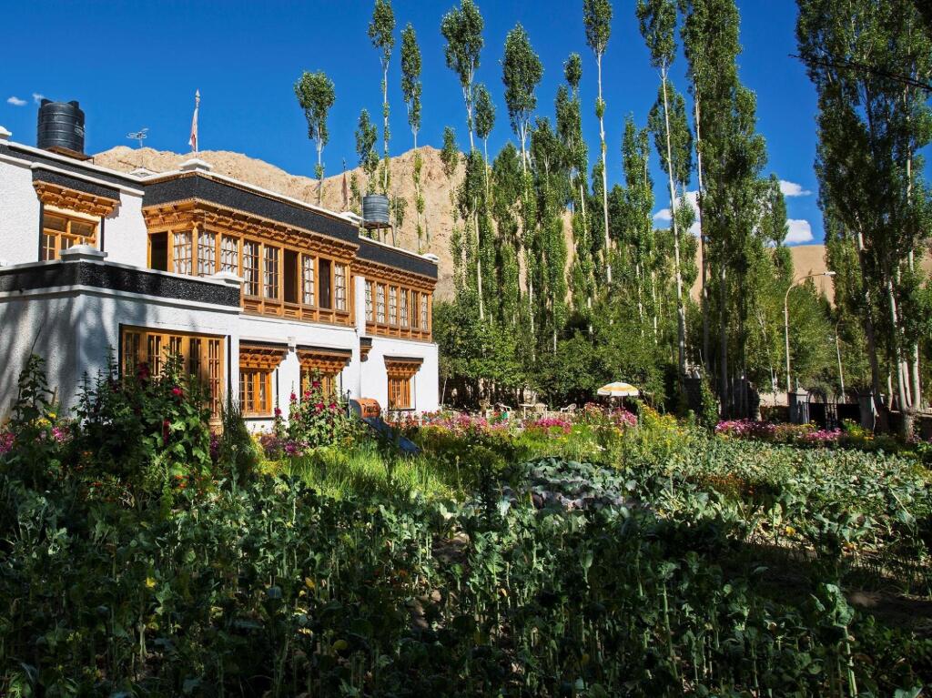 Shaolin Ladakh in Leh, India