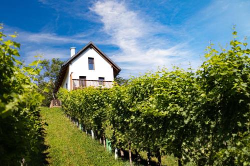 Kellerstöckel Steinbach in Gamlitz, Austria