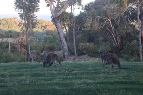 Eagle Bay House — Dunsborough — photo 2
