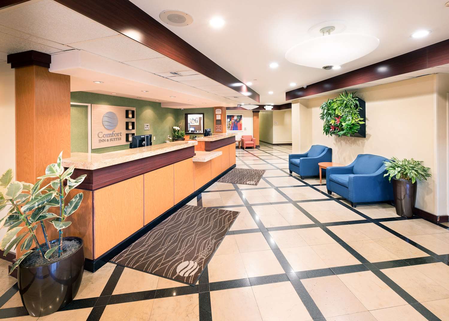 Comfort Inn & Suites Oakland - photo 16
