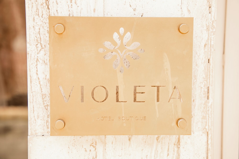 Violeta Hotel Boutique in Tepatitlan De Morelos, Mexico