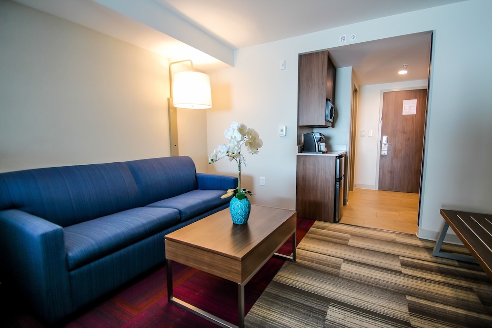 Holiday Inn Express & Suites Miami Airport East by IHG - photo 16