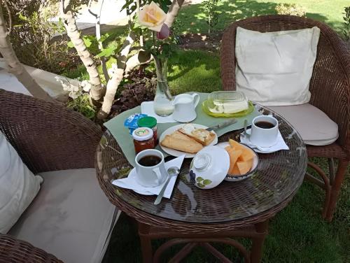 Au bout du jardin — Carthage — photo 4