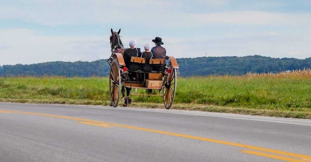 Tropical View in Belize City, Belize