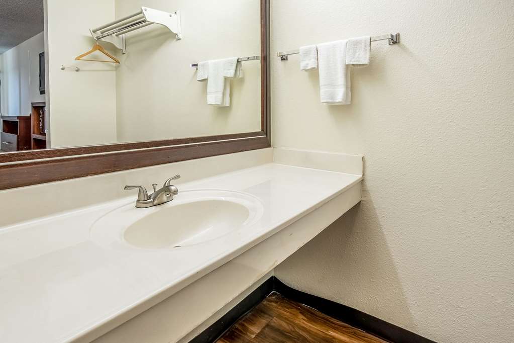 Econo Lodge Knoxville West Turkey Creek - photo 16