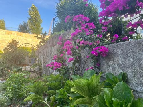 Hidden Gem near city center garden outdoor kitchen sauna in Porto, Portugal