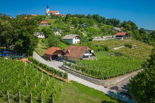 Vineyard Cottage Hocevar With Sauna — 4-Star Luxury Hotel in Novo Mesto, Slovenia
