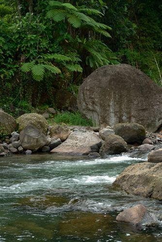 Island Bay Boutique Hotel in Roseau, Dominica