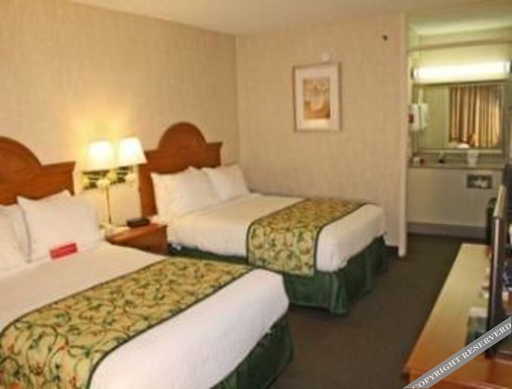 Ramada by Wyndham Asheville Biltmore West - photo 5