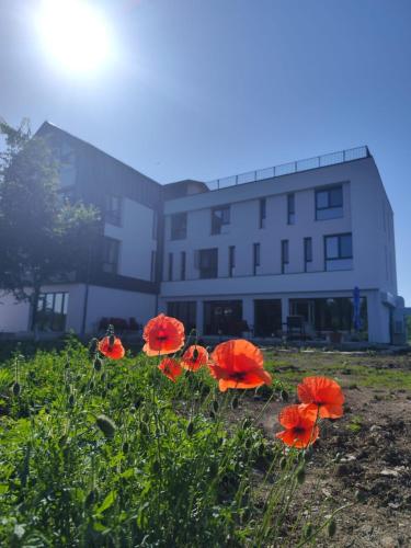 Indra Wellness Retreats And Spa in Unknown City, Romania