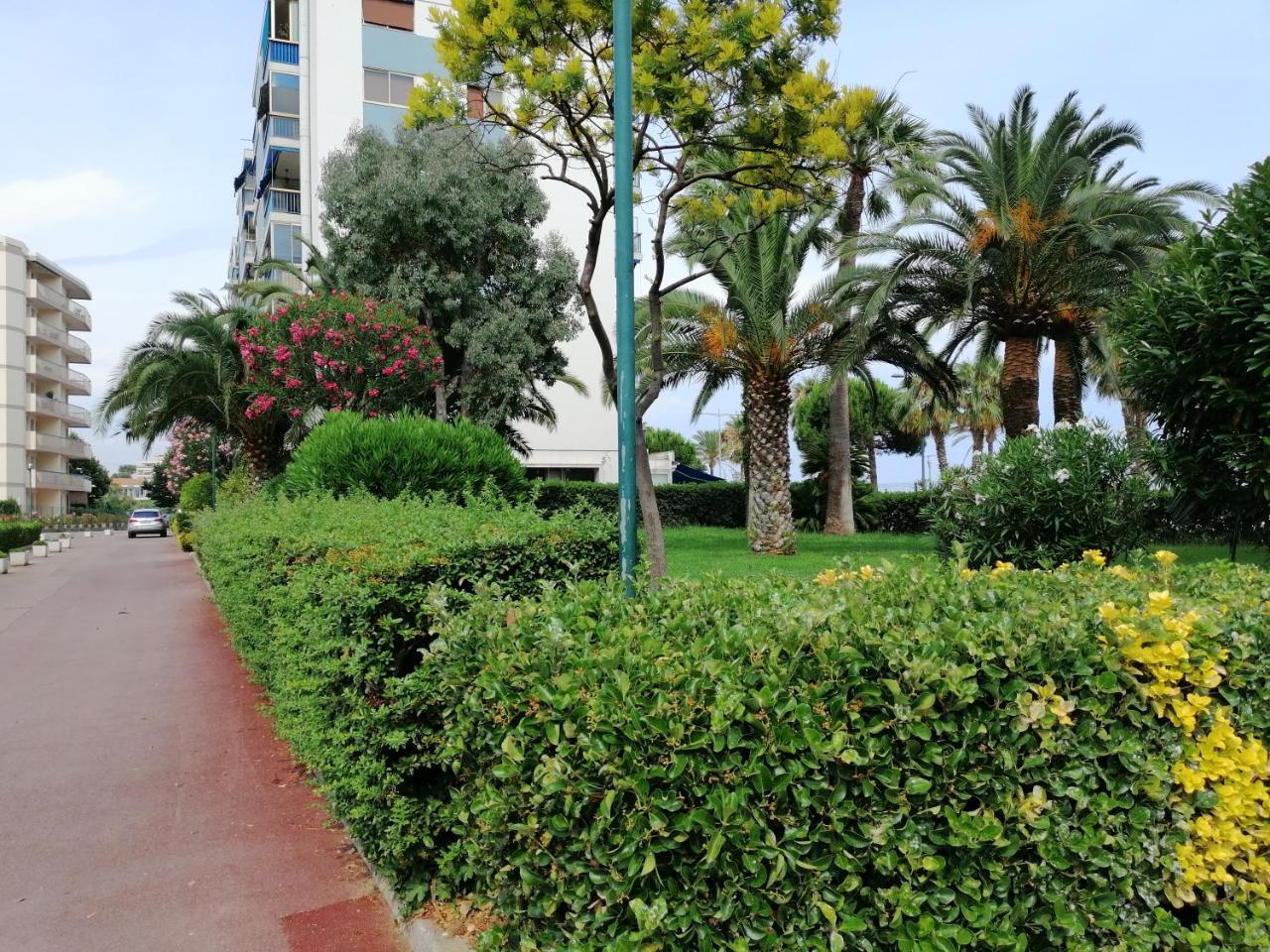 Gl la Fregate — Cagnes-Sur-Mer — photo 4