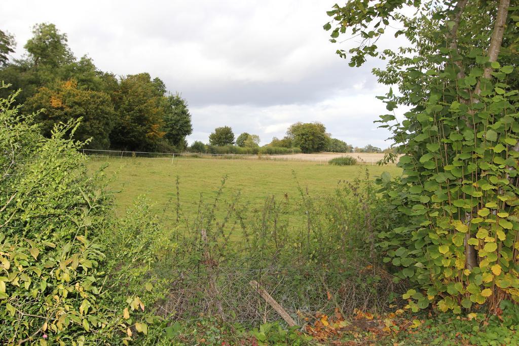 Phoenix House — Watton — photo 5