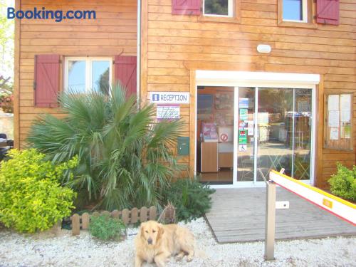 Camping Cap Sud — Alenya — photo 3