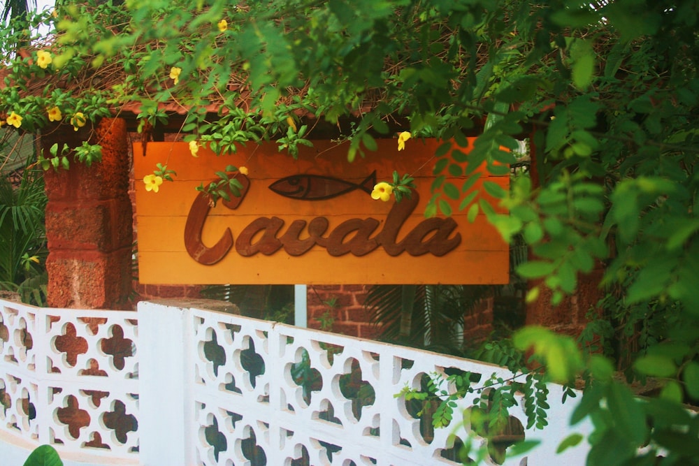 Cavala Seaside Resort — Baga — photo 2
