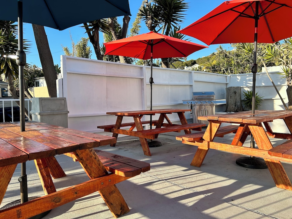 West Coast Surf and Stay - photo 31