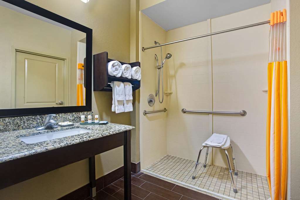 La Quinta Inn & Suites by Wyndham Pearsall - photo 18