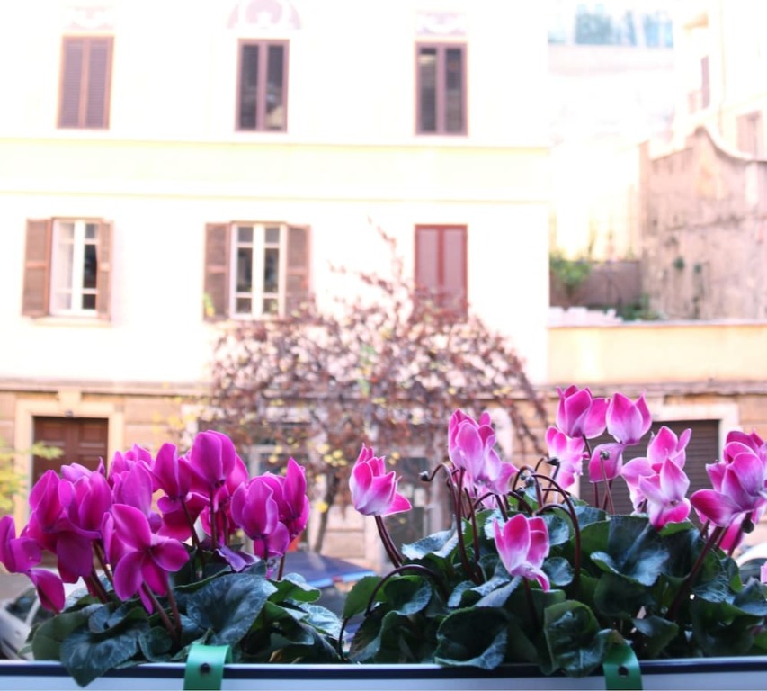B&B Tra I Musei — 4-Star Luxury Hotel in Rome, Italy