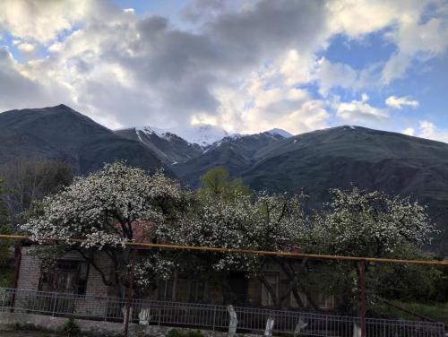 Kazbegi Cottage Memo