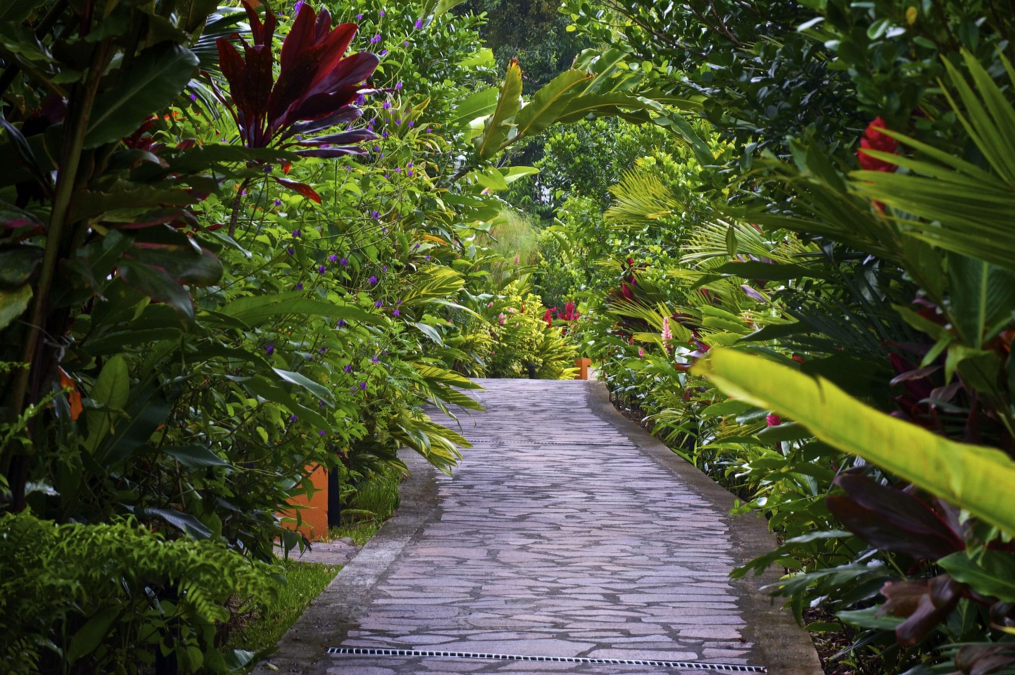 Nayara Gardens in La Fortuna, Costa Rica