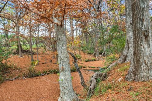 Cypress Moon in Wimberley, United States