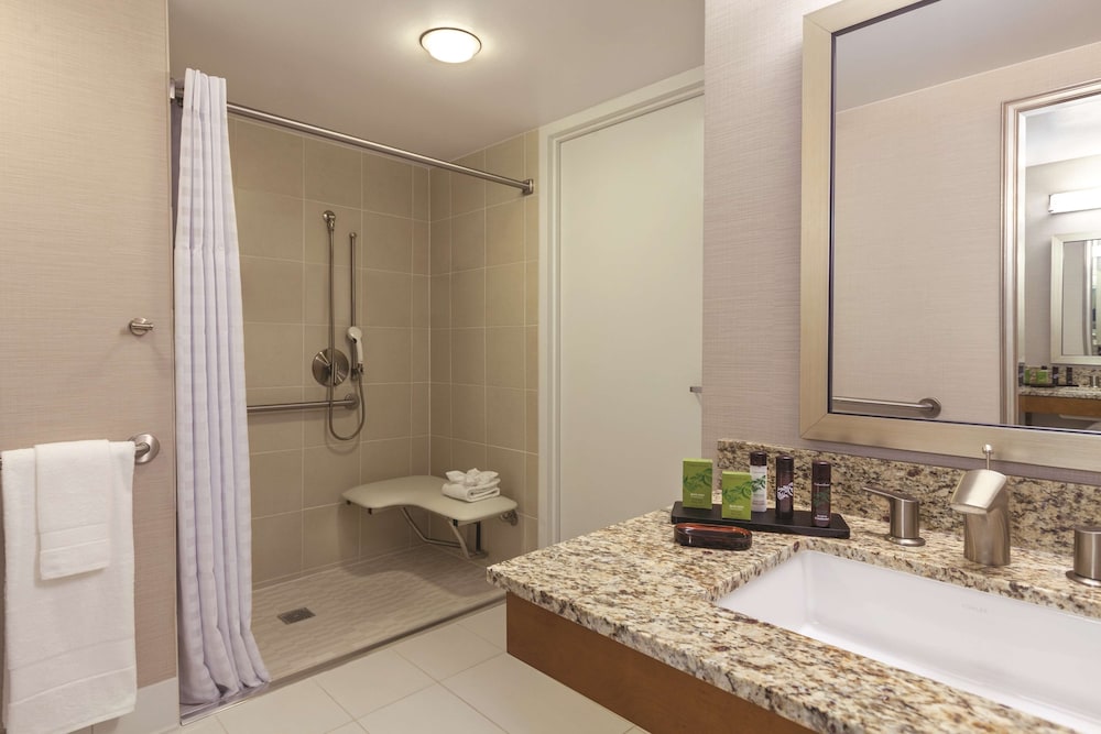Embassy Suites by Hilton Anaheim Orange - photo 27