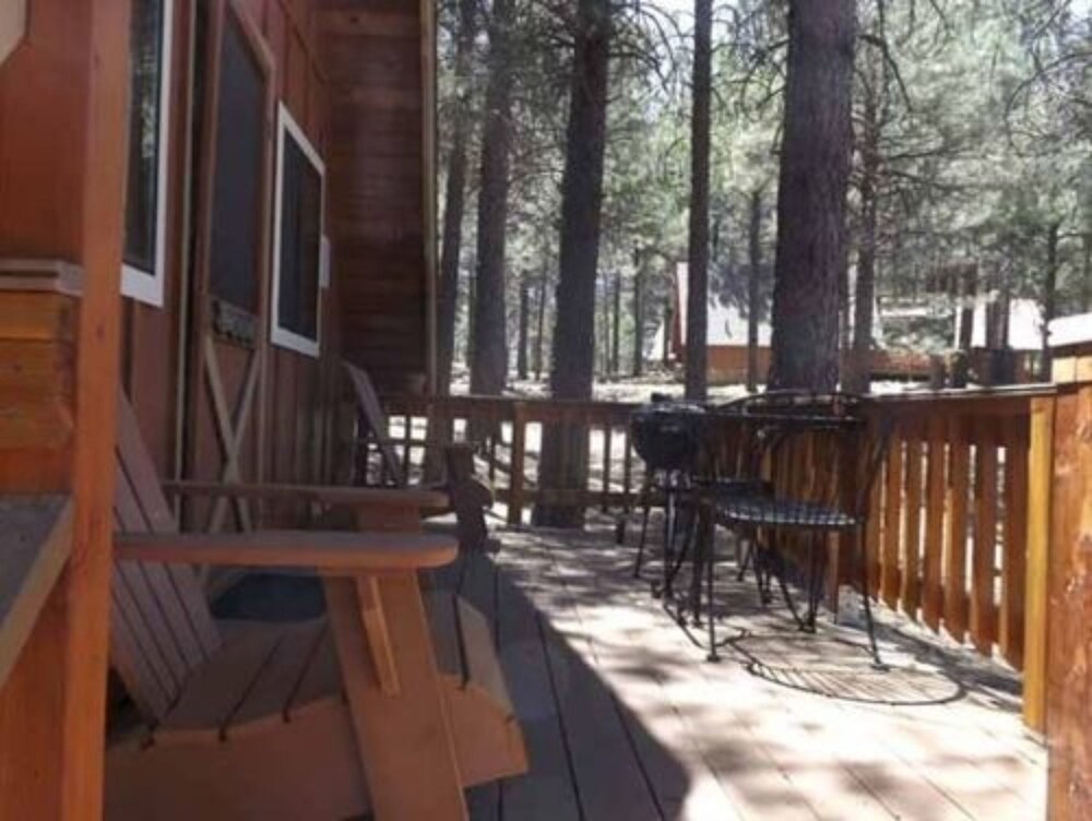 Arizona Mountain Inn and Cabins - photo 77