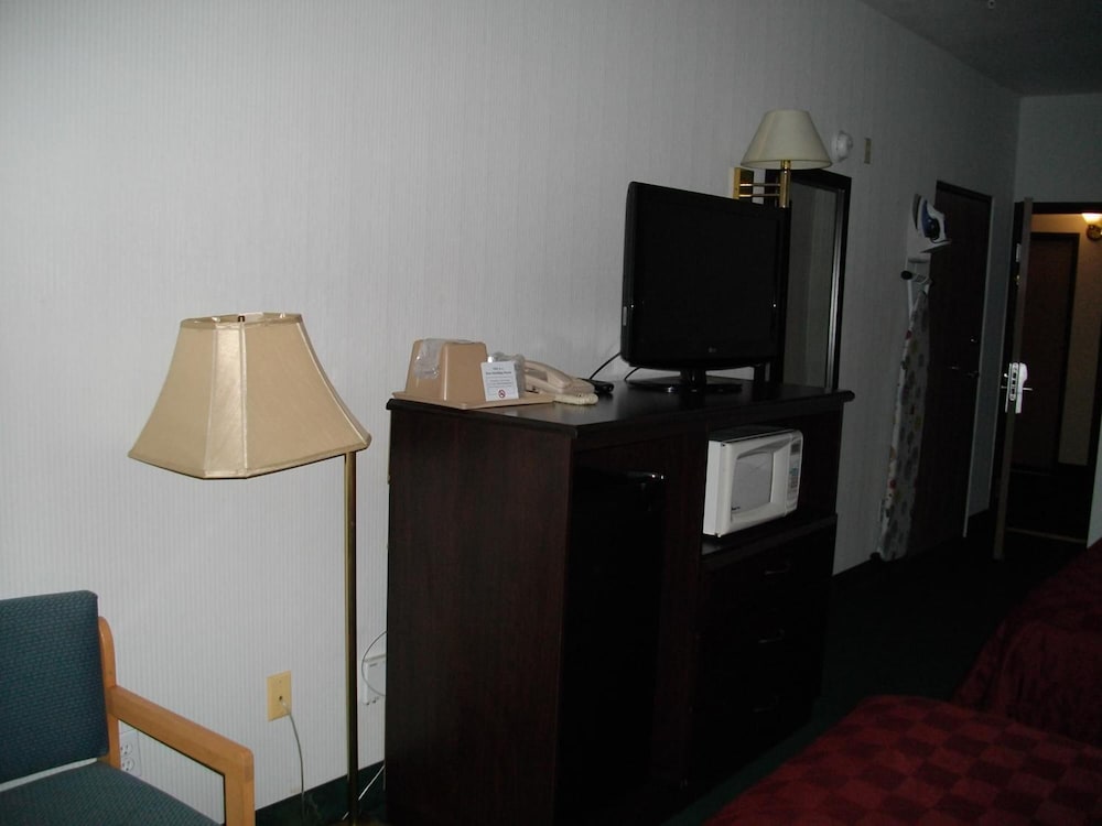 Bellis Inn - photo 9