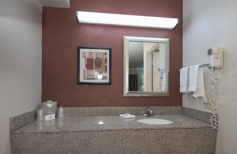 Red Roof Inn and Suites Cleveland Elyria - photo 24