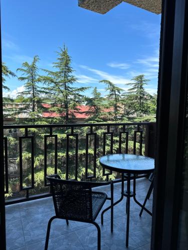 Rustaveli Apartment 113