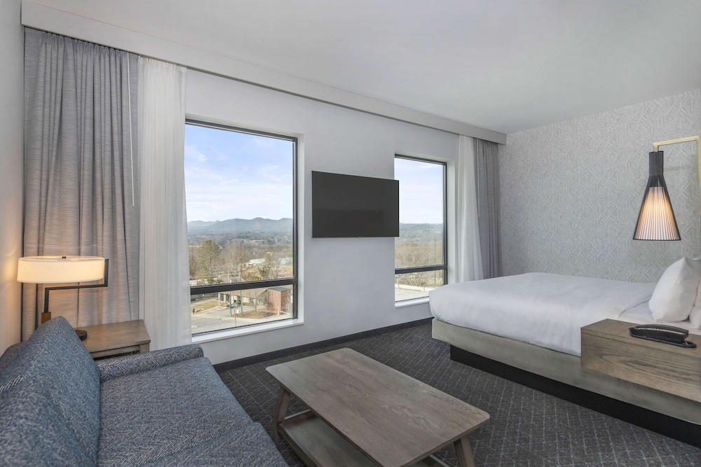 Embassy Suites By Hilton Asheville Downtown - photo 25
