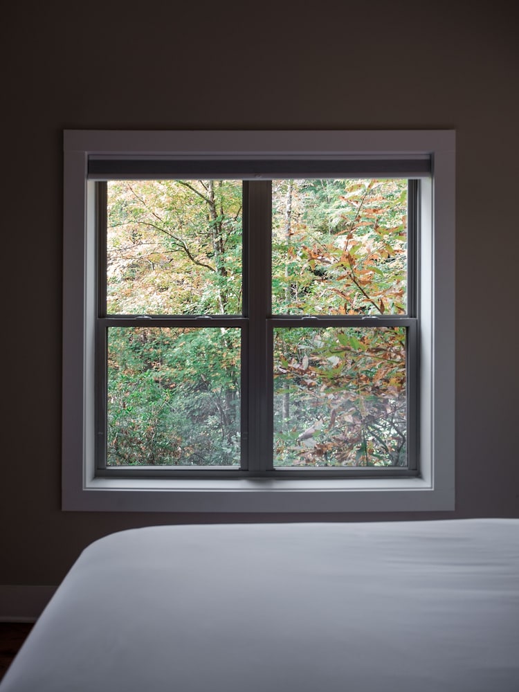 Pilot Cove Forest Lodging - photo 19