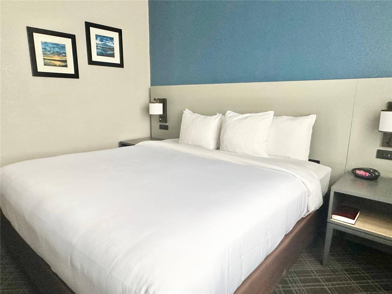 Comfort Inn & Suites Cartersville Emerson Lake Point - photo 22