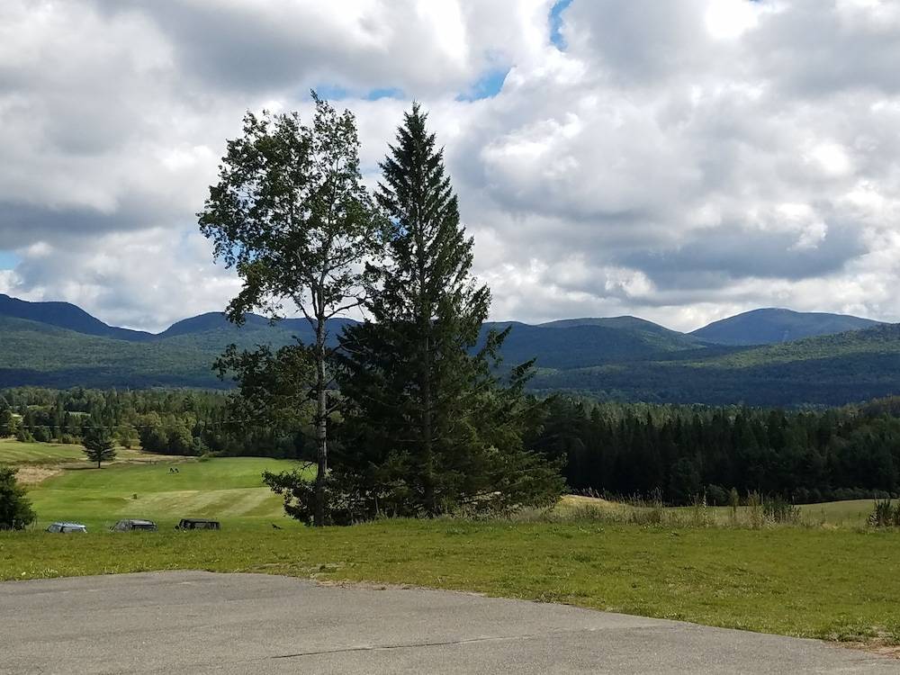 Alpine Motor Inn - photo 16