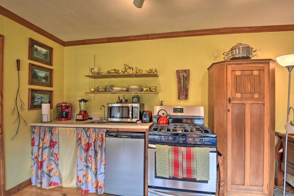 Forest Fantasy Pet Friendly Smoky Mtn Escape — Murphy