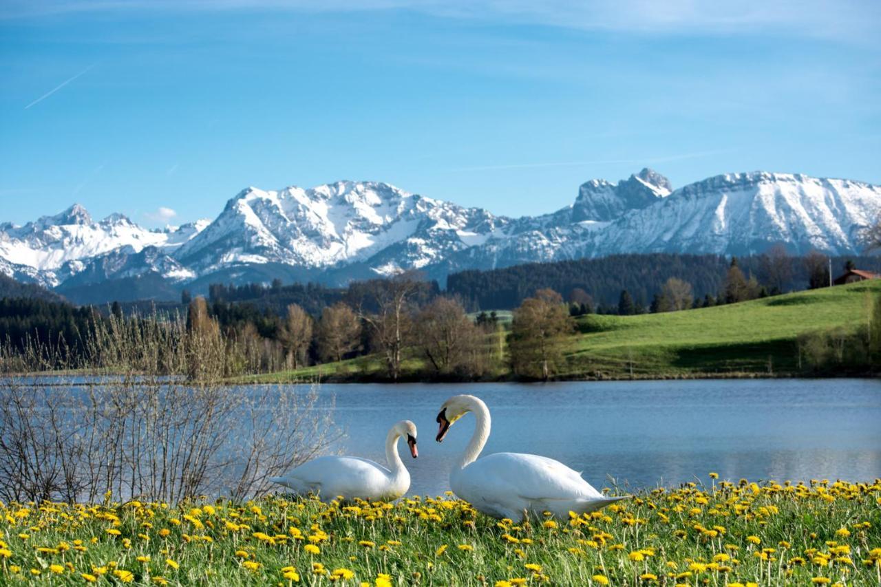 Direkt am See mit Bergblick — 4-Star Luxury Hotel in Seeg, Germany