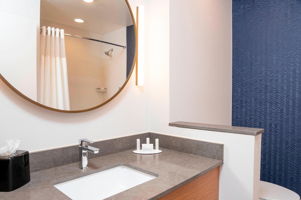 Fairfield Inn & Suites by Marriott Fair Oaks Farms - photo 38