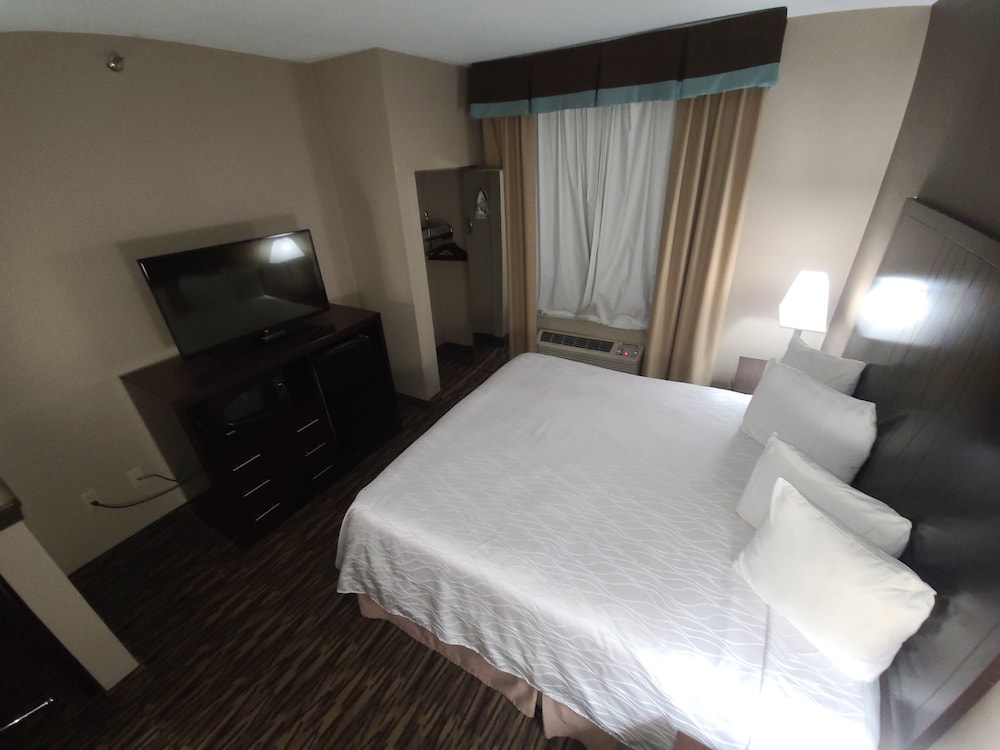 Comfort Suites Plano East Richardson - photo 19