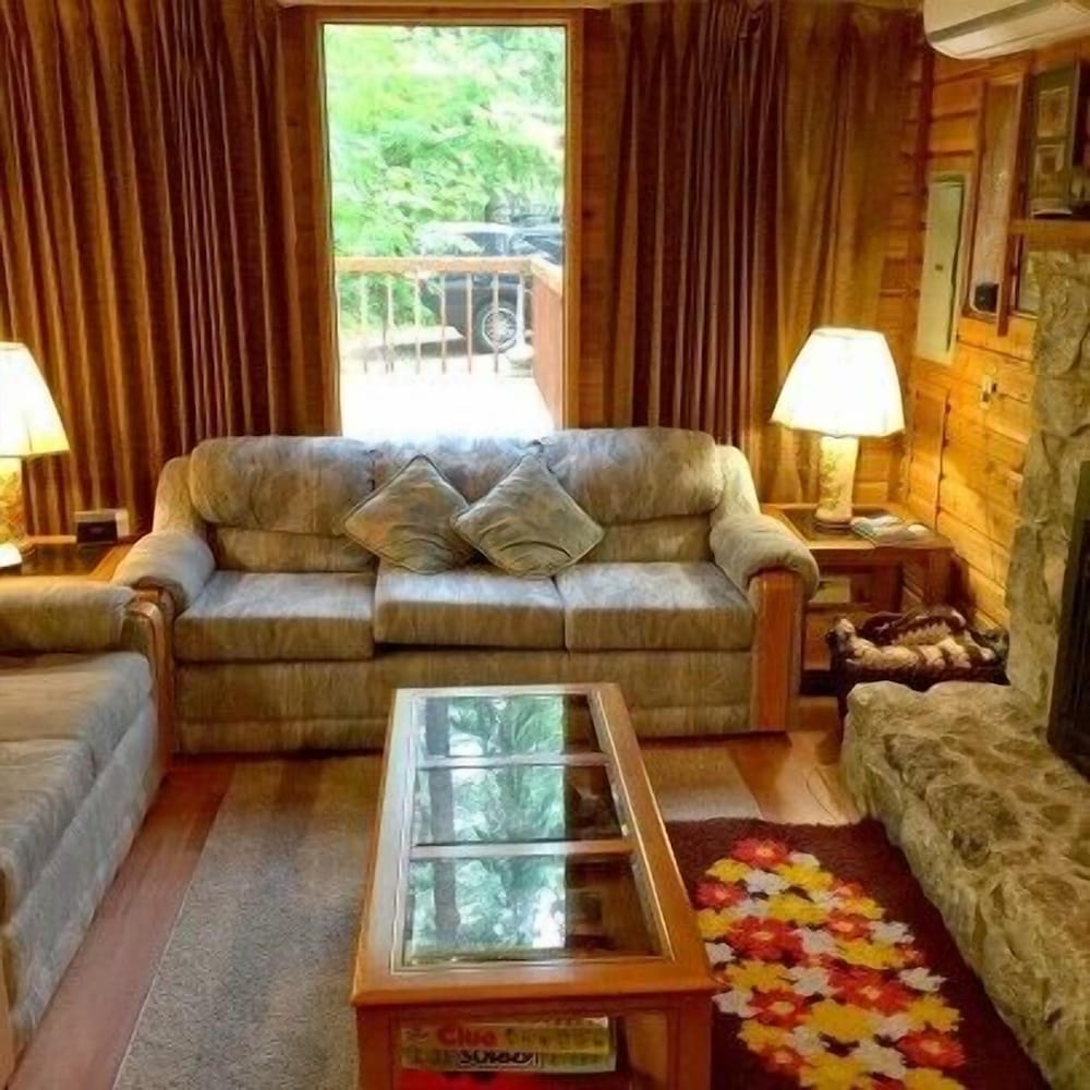 Mt Baker Lodging Cabin 35 Sleeps 6 — 4-Star Luxury Hotel in Deming, United States