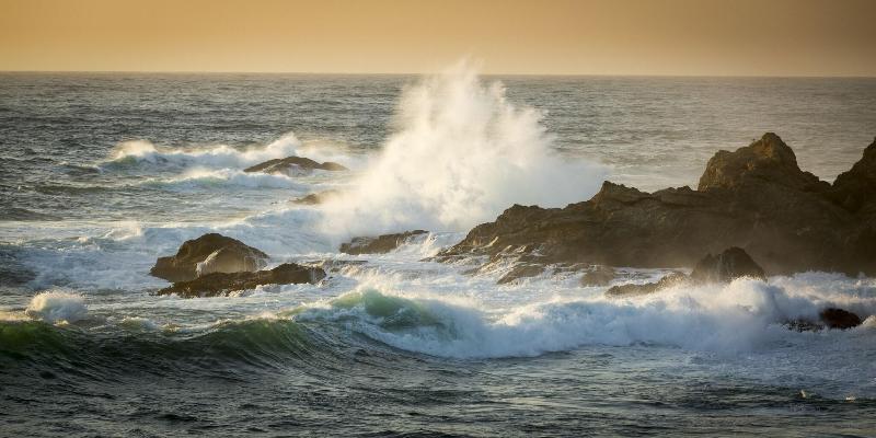 Heritage House Resort & Spa - photo 41