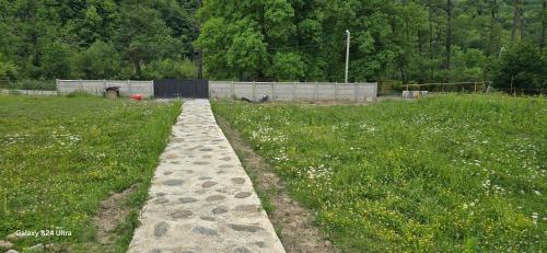 Dariani Cottage — Oni — photo 3
