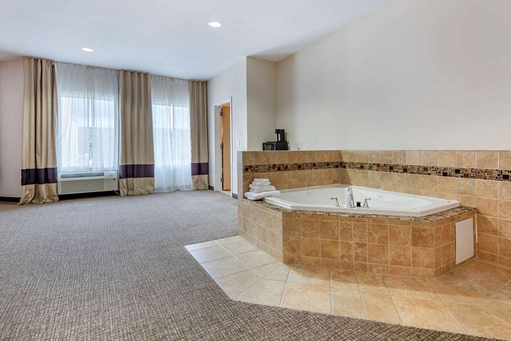 Comfort Inn Apalachin Binghamton W Route 17 - photo 23