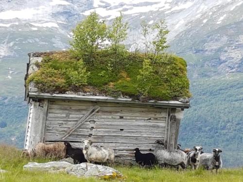 Voss Interlake Villa — 5-Star Luxury Hotel in Voss, Norway