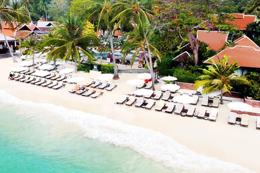 מראה חיצוני