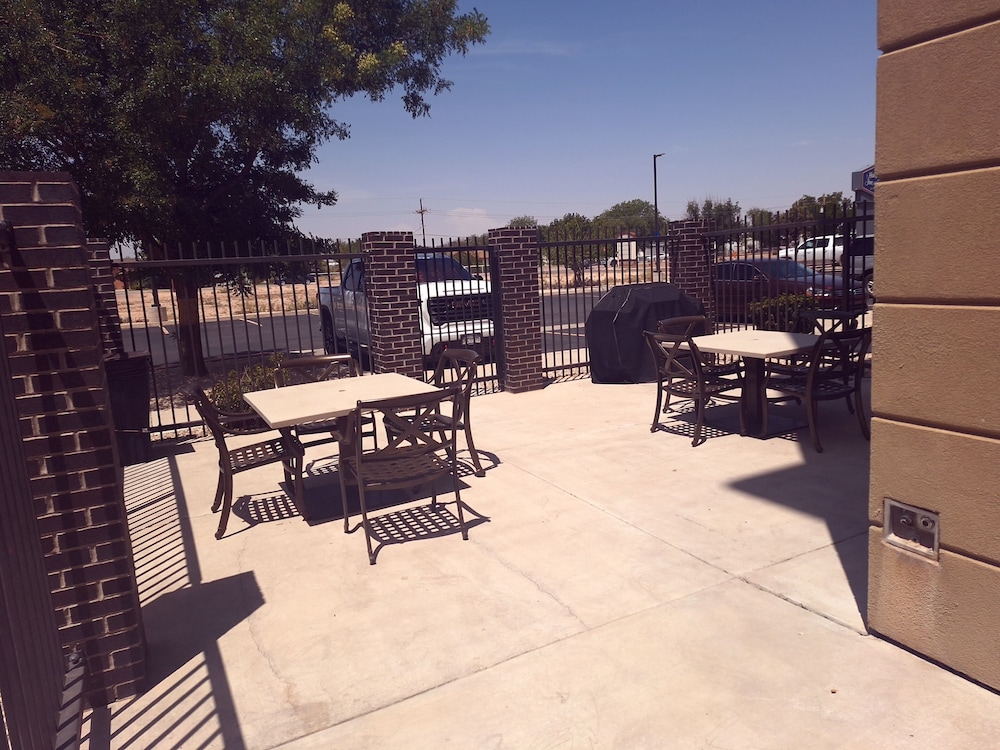 Hampton Inn & Suites Artesia - photo 34