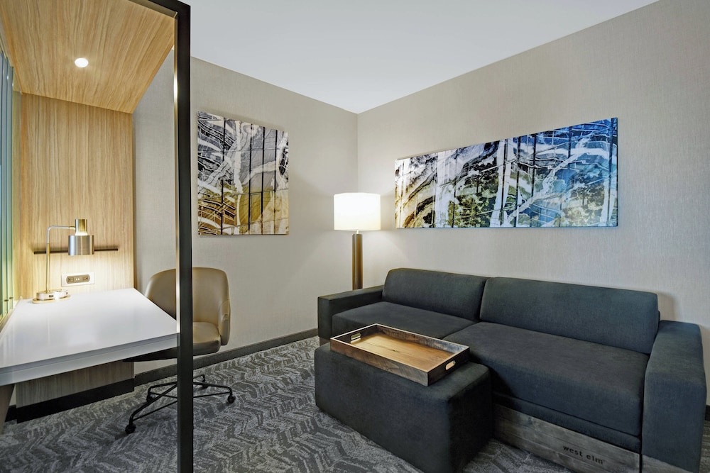 SpringHill Suites by Marriott St. Paul Arden Hills - photo 19
